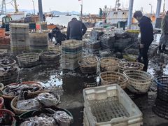 -中国舟山国际水产城