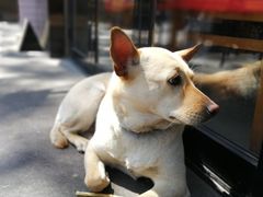 -Cactus墨西哥仙人掌餐厅