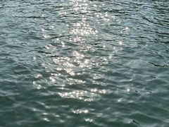 -金鸡湖景区