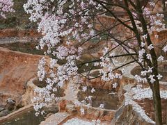 -九皇山景区