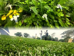 -二沙岛艺术公园