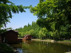 -金岛生态园烧烤露营地
