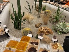 -OUR Bakery(SKP-S店)