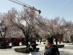 -大雁塔北广场音乐喷泉