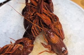 Iced Wild Crayfish from Bagua Fields