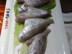 -川西坝子(老军营店)