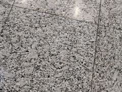 -上海市实验学校