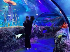 -沈阳海洋探索中心