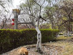 -燕郊植物园