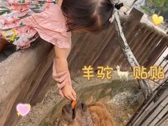 -石家庄市动物园