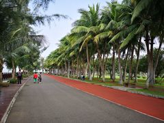 -万绿园