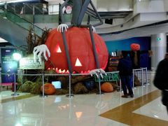 店内环境-凯德广场(学府店)