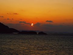 -枸杞岛