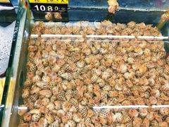 -明记海鲜大排档(巽寮湾店)