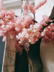 -盘子女人坊生日照·摄影馆(华强店)