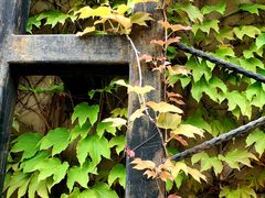 -半岛1919创意园区