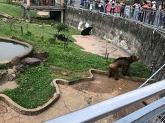 -无锡动物园·太湖欢乐园