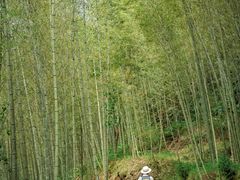 -千泷沟大瀑布旅游区