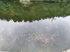 -昆嵛山石门里景区