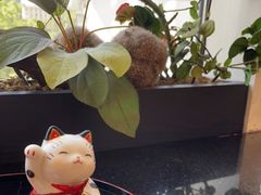 -彩葉·樱花屋日本料理(动物园店)