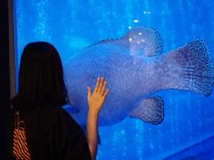 -成都浩海立方海洋公园