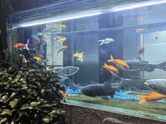 -又见炊烟私房菜(敬亭路店)