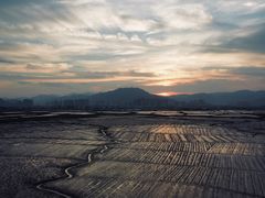 -北岐滩涂