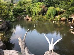 -河源客天下-温泉小镇