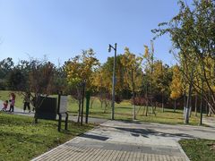 -北坞公园