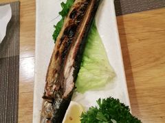 -樱の千渡日式料理·铁板烧•烧鸟(金盛田广场店)