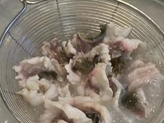 -中山脆肉鲩(新圳东路店)