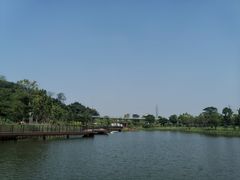 -王借岗森林公园