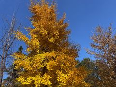 -青州市云门山风景区