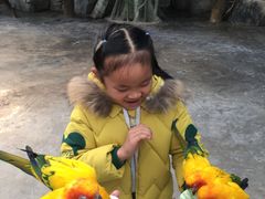 -昆明动物园
