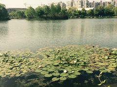 iphone_upload_pic-新江湾城公园