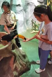 -Zoolung Zoolung动物主题公园(海信广场店)