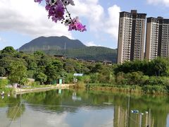 -大王岭农庄