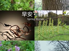-杭州植物园