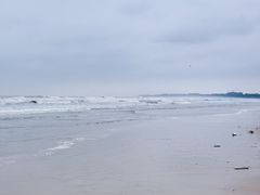 -日照海滨国家森林公园