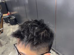 -藤野造型