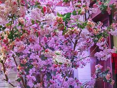 -望京一号(菜户营店)
