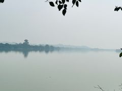 -鹤之洲湿地公园