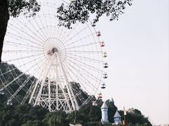 -温州乐园