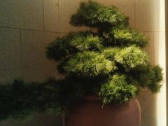 -全季酒店(成都武侯祠高升桥路店)