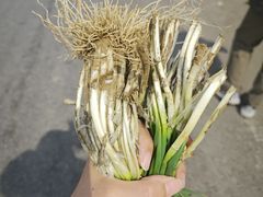 -农家院铁锅炖(西韩路店)
