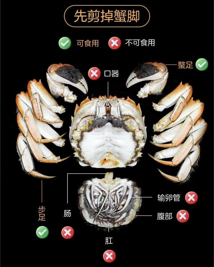 🦀螃蟹你吃对了吗❓