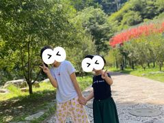 -十渡东湖港风景区