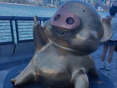 -星光大道