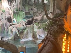 -福州罗源湾海洋世界旅游区