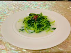 上汤苋菜-8餐厅(新葡京酒店)